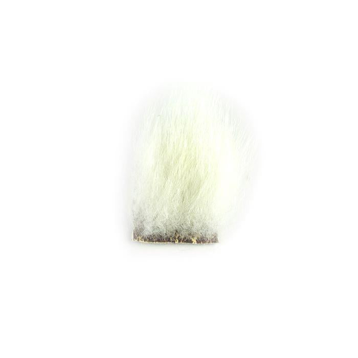 Shor Fishing - Polar Bear