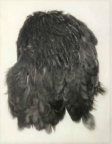 Hen Neck for Salmon - 1pc