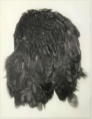 Hen Neck for Salmon - 1pc