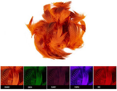 Teal Flank Feathers - Assorted Colors