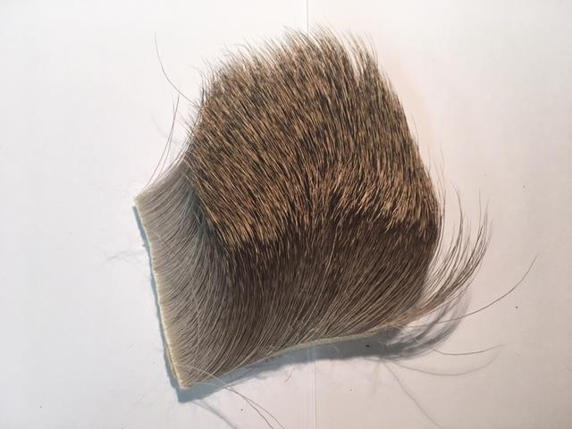 Deer Body Natural (2x3)