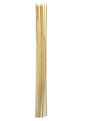 Roasting Sticks