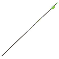 Allen RZ600 Carbon Arrow