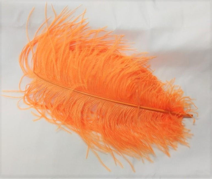 Ostrich Plume