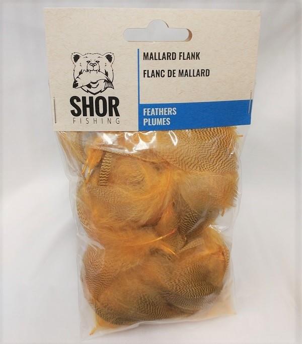 Flank Mallard