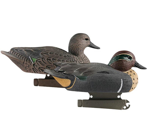 Hunter Series Life Size – Green-Winged Teal