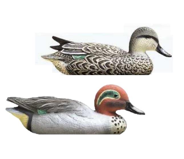 Sport Plast Greenwing Teal 4-Pack