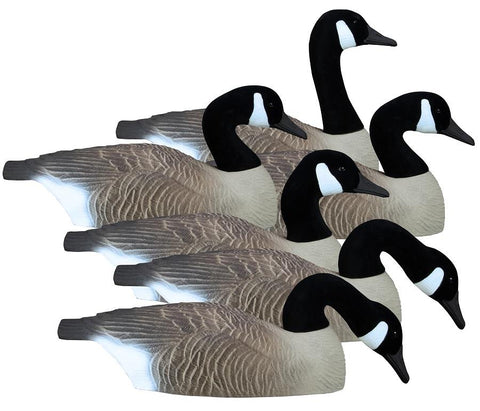 Higdon Outdoors - Canada Goose Shell 6pk