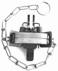 Bridger Coil Spring #1