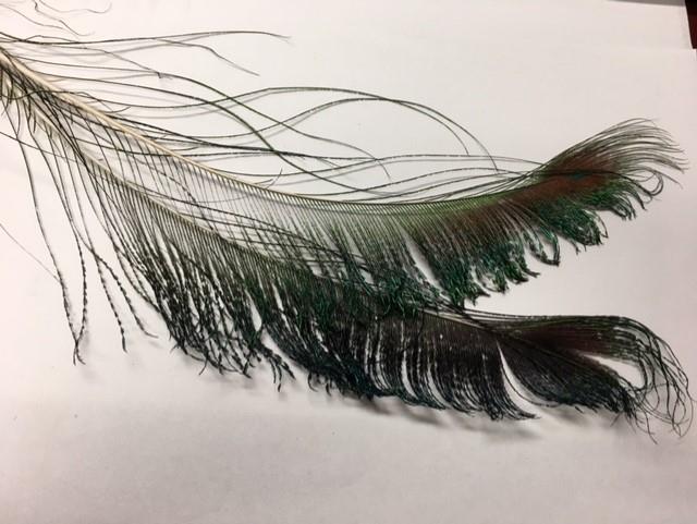 Peacock Swords