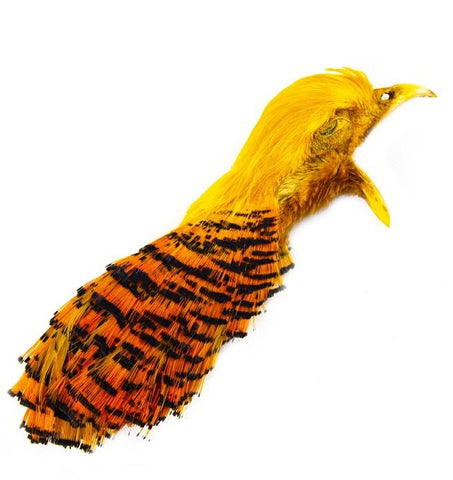 Shor Golden Pheasant Head Size #1